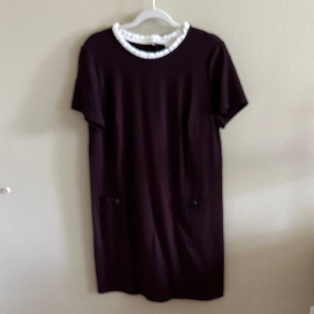 LOFT Burgundy Dress with White Ruffle Collar